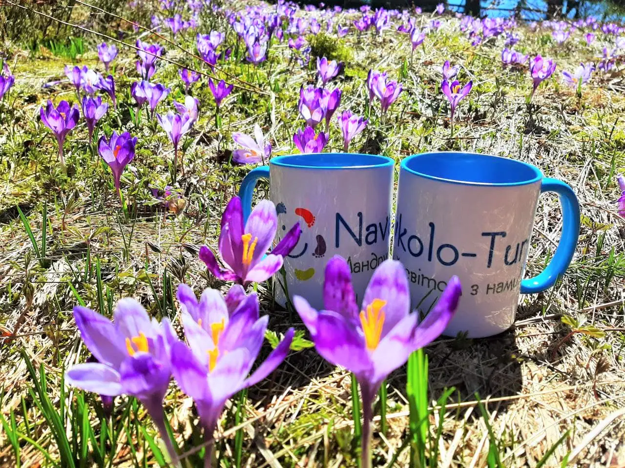 Ємності для води під час походів та подорожей.